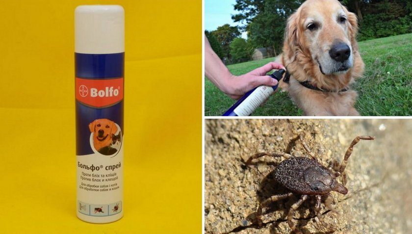 Спрей от клещей для собак Спрей от клещей для собак