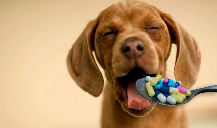 Витамины для щенков