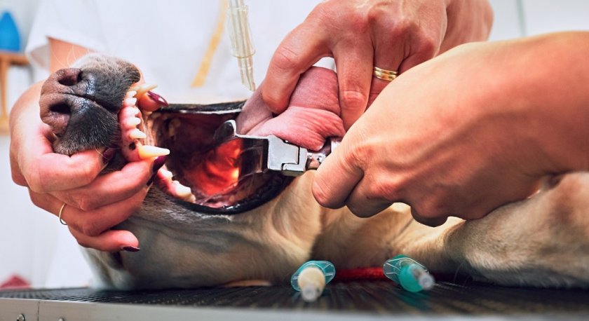 Проведение операции Проведение операции