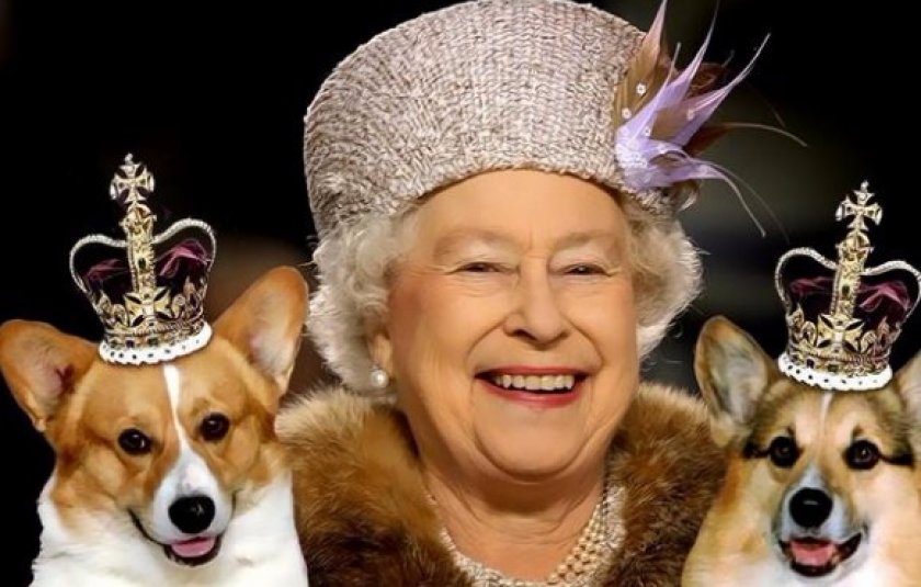 Собаки королевы Британии