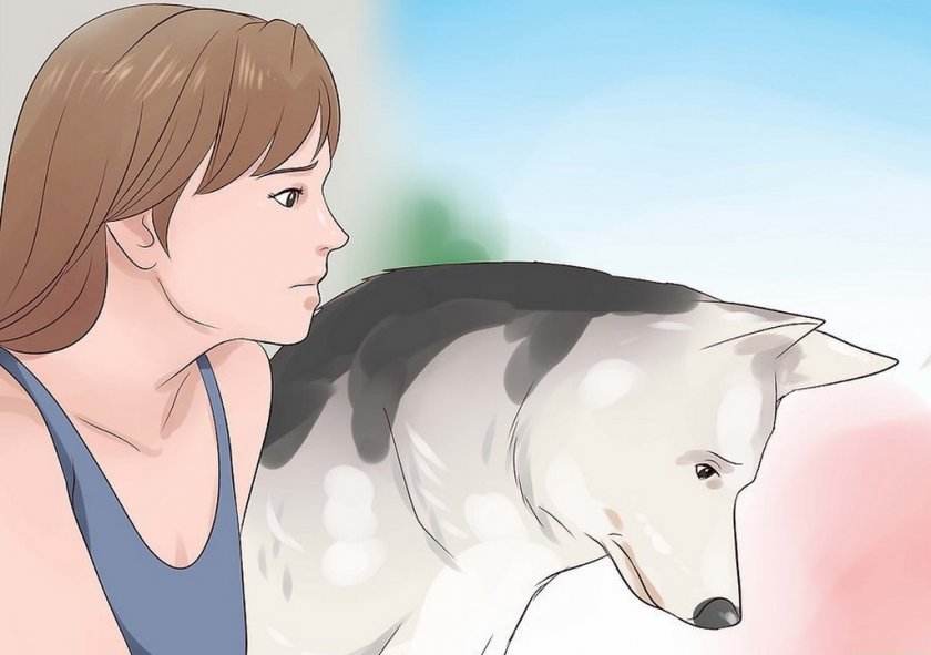 Собака и человек