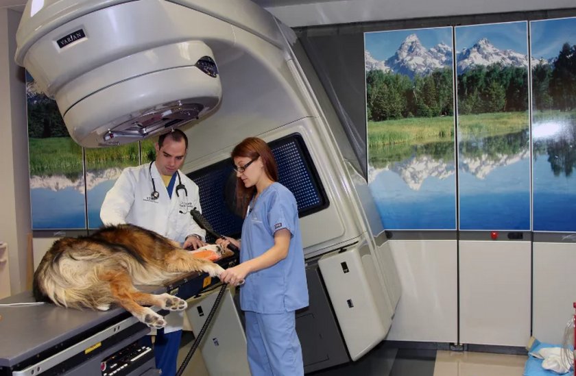 Лучевая терапия