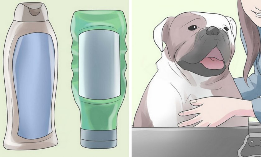 Зоогигиенический шампунь для собаки Зоогигиенический шампунь для собаки