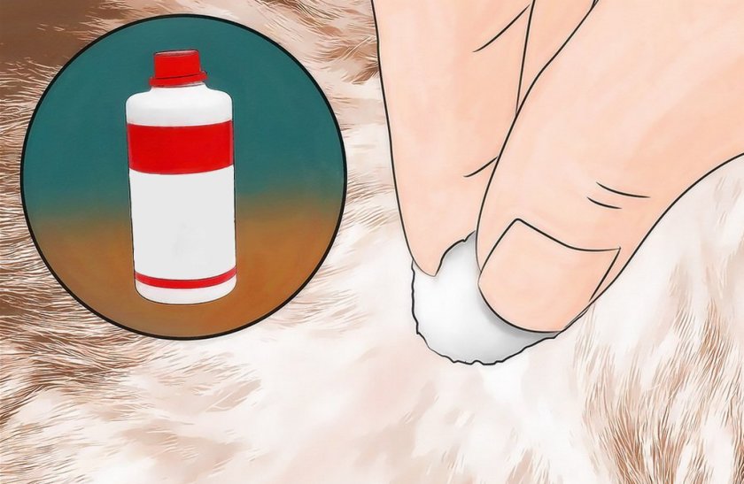 Обработка места укуса антисептиком Обработка места укуса антисептиком