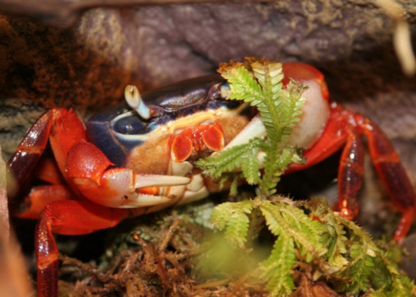 Оснащение жилья Оснащение жилья