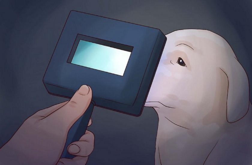 Диагностика с лампой Вуда