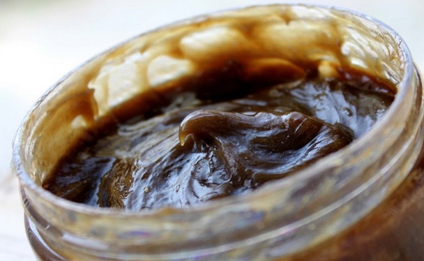 Деготь от личинок в собаке