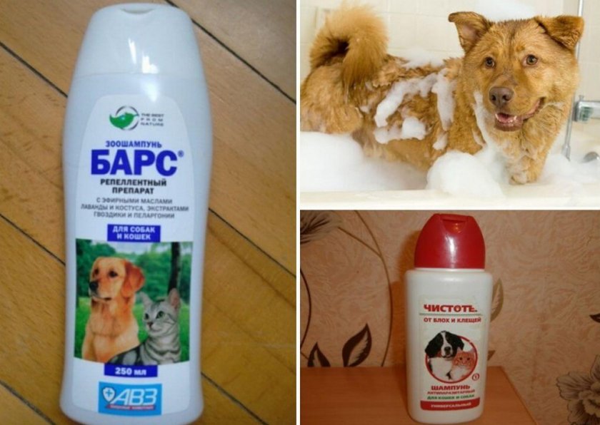 Шампунь от блох собаке