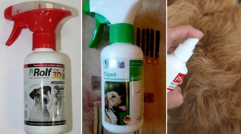 Спреи от блох для собаки