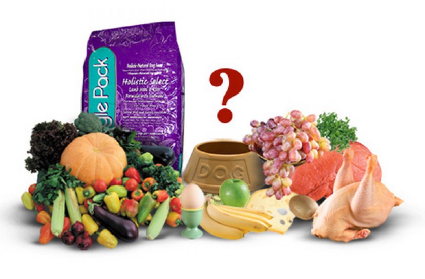 Рацион немецкого дога