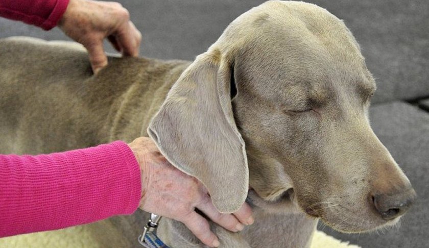 Симптомы остеохондроза Симптомы остеохондроза