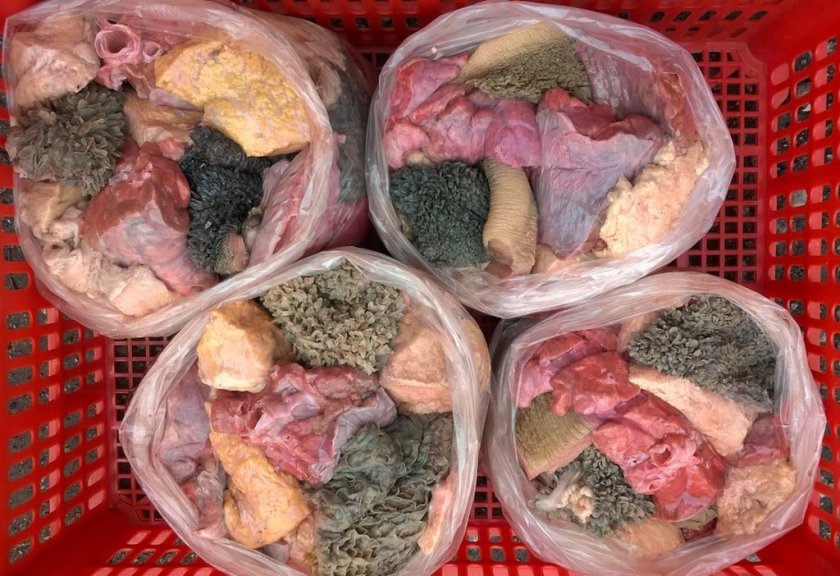 Субпродукты в рационе собаки