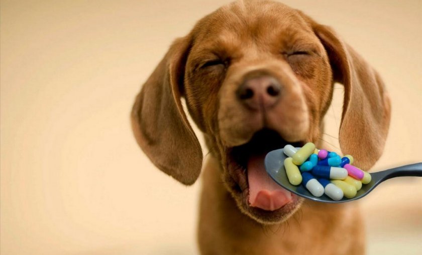 Витамины для щенков