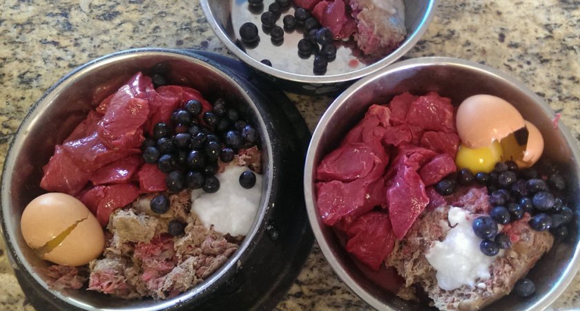 Натуральное питание для собаки