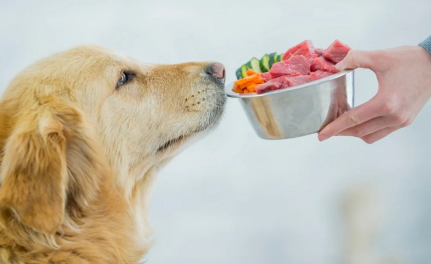 Натуральное питание собаки Натуральное питание собаки