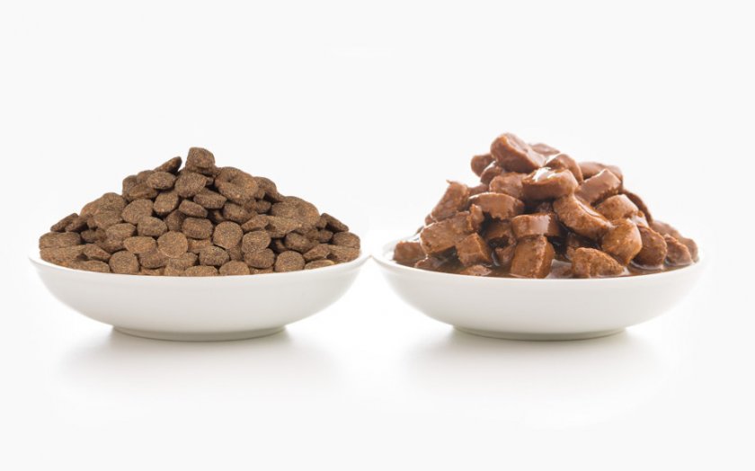 Влажные и сухие корма для собак