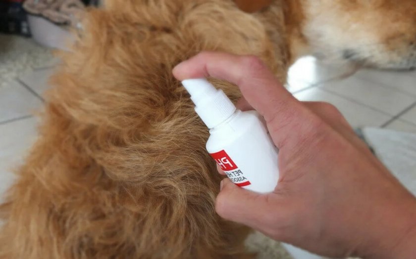 Обработка собаки спреем с феромонами Обработка собаки спреем с феромонами