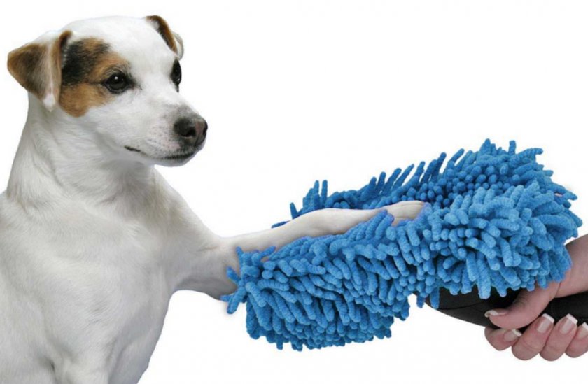 Помыть лапы собаке Помыть лапы собаке