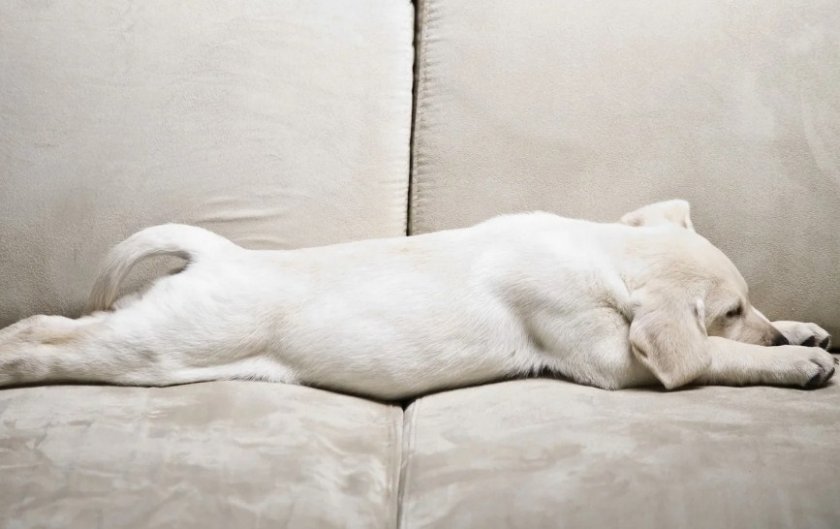 Поза супермена