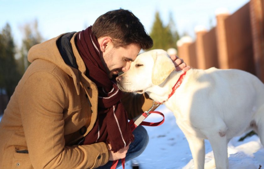 Человек и пес