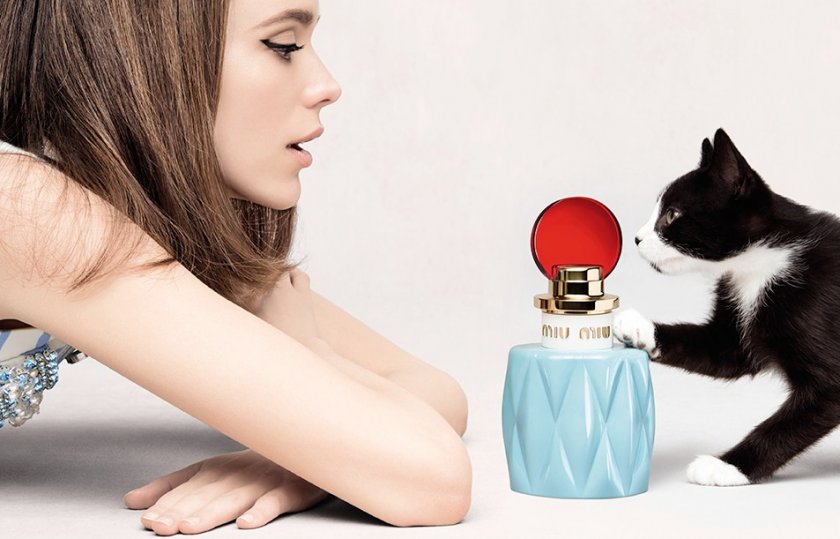 Запах парфюма