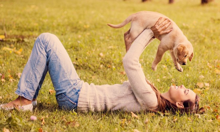 Щенок и девушка