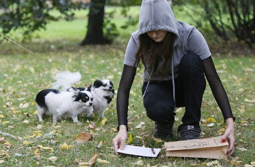 Уборка за собакой