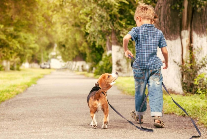 Собака и ребенок