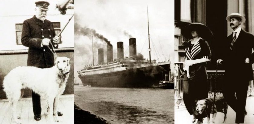 Собаки на Титанике
