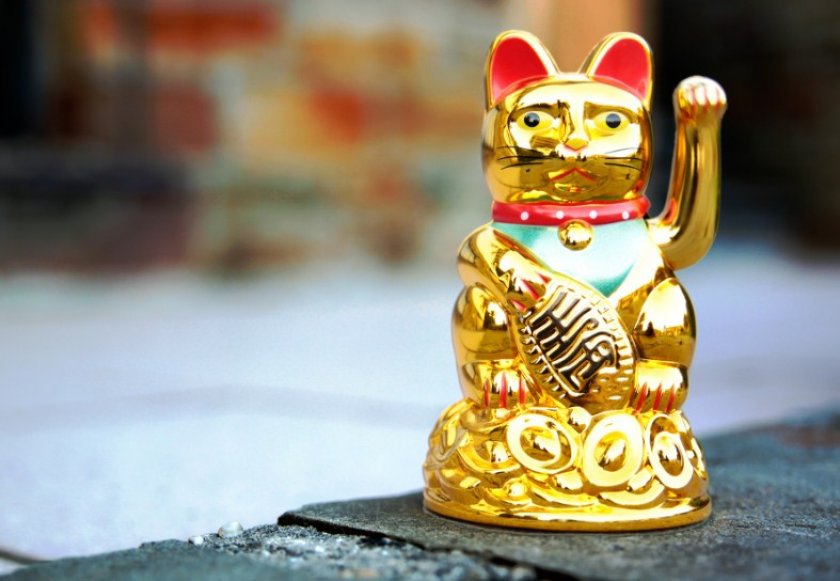 Кошка по фэн-шуй Кошка по фэн-шуй