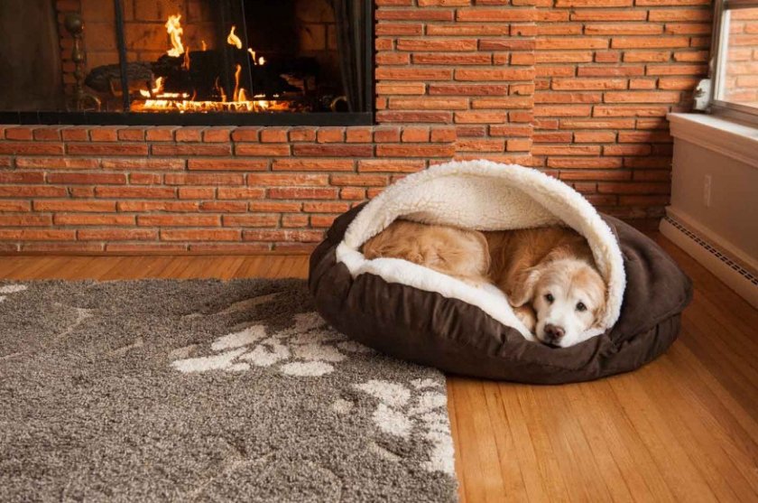 Лежанка для собаки