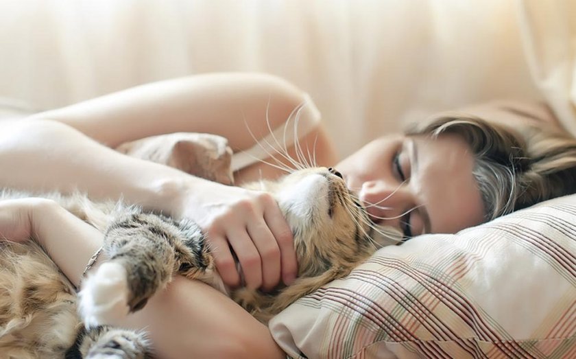 Совместный сон Совместный сон