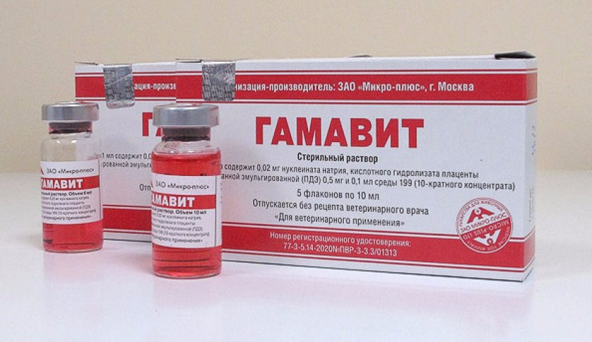 Препарат Гамавит Препарат Гамавит