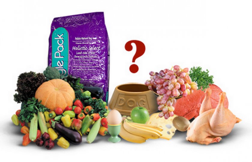 Рацион собаки