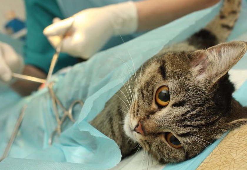 Проведение операции Проведение операции