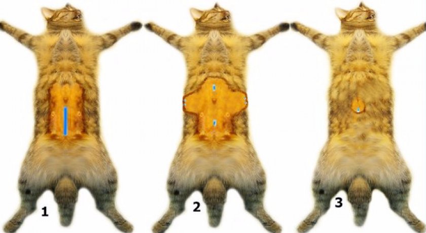 Способы проведения операции Способы проведения операции