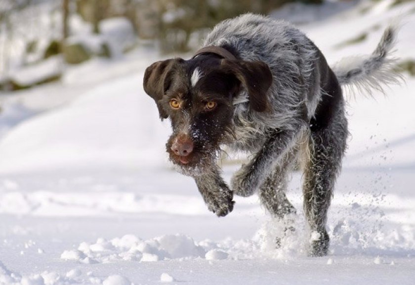 Физическая активность