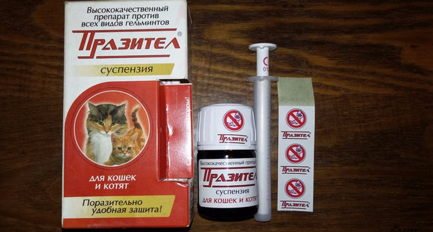 «Празител» «Празител»