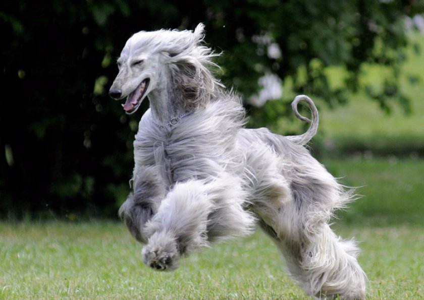 Физическая активность