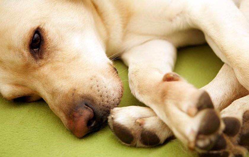 Побочные эффекты