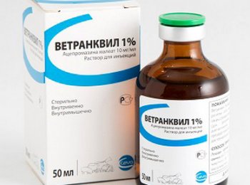 «Ветранквил» для домашних животных: способ применения и дозы