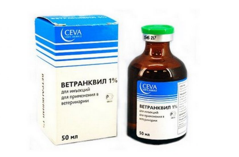 Ветранквил