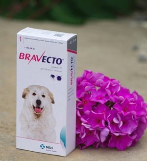 «Бравекто»