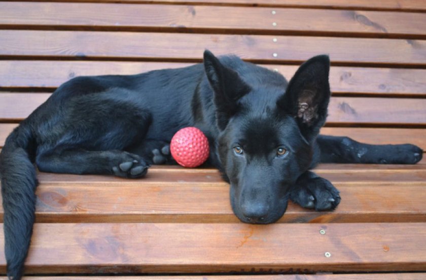 Противопоказания