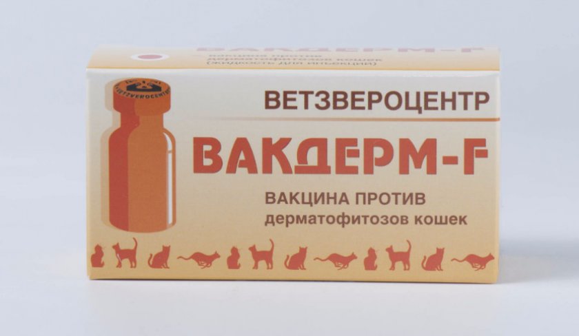 Вакцина «Вакдерм»