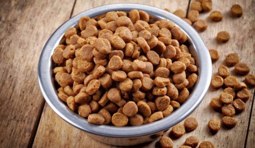 Сухой корм Сухой корм
