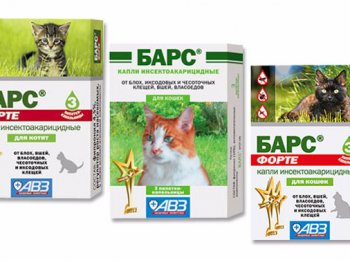 Средство против блох и клещей «Барс»: как применять для кошек