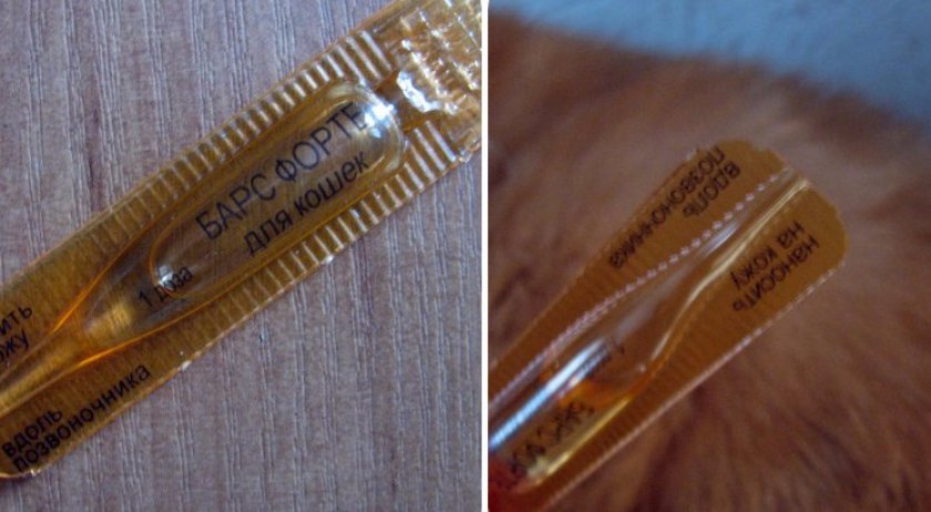 Капли Барс для кошек Капли Барс для кошек