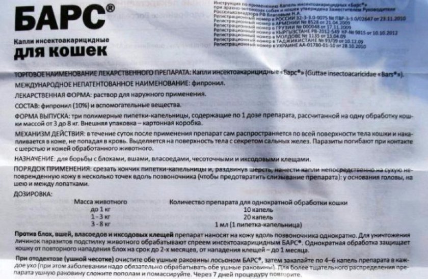 Инструкция Инструкция