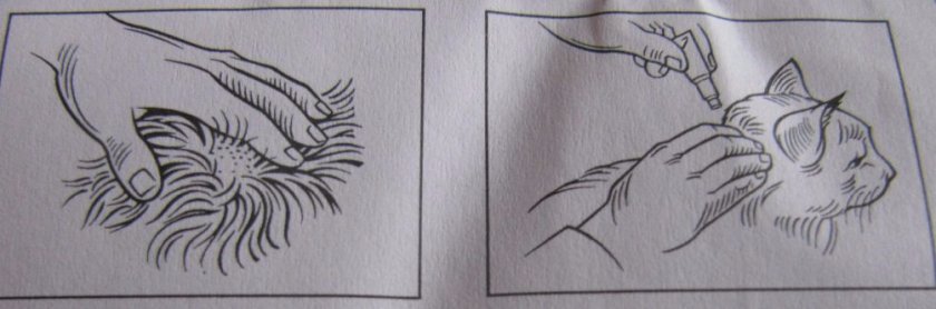 Схема применения